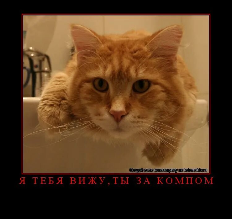 дайте колбасы. дайте колбасы. дайте колбасы. дайте дайте колбасы. я рыжий.