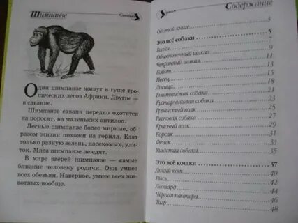 Содержание зверь