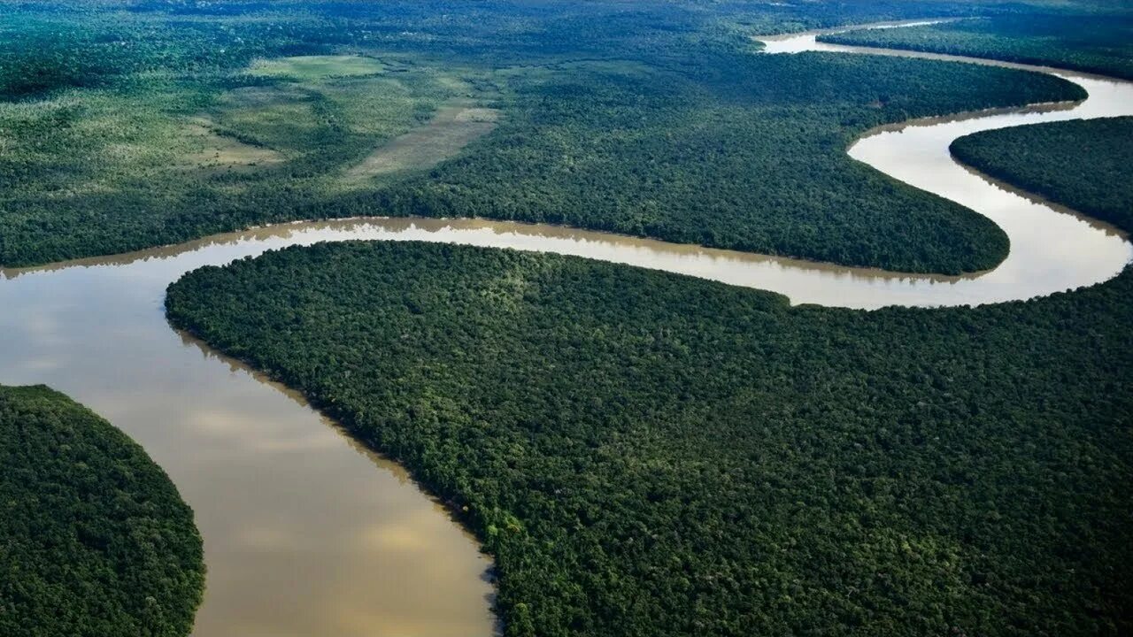 Реки страны бразилия. Бразилия Амазонская низменность. Ла-Платская низменность Южная Америка. Лаплатская низменность Аргентина. Гвианская Амазония национальный парк.