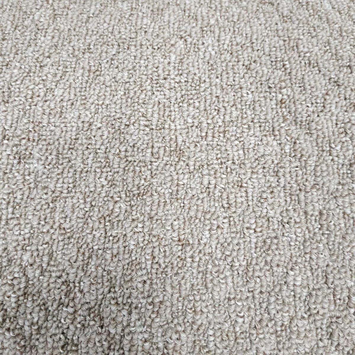 Ковролин anny 33013 106. Ковролин ассортимент. Ковры ассортимент. Шагги витебск sh03 ковер. Ковролин varano 212.