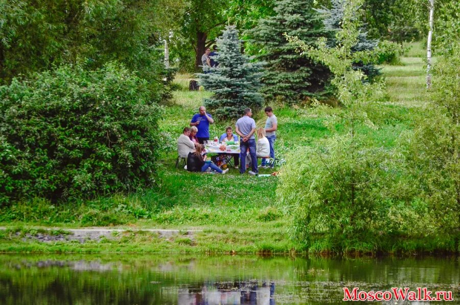 Рыбалка в Южном Бутово Черневский пруд. Черневский пруд Бутово. Северный Полянский пруд Бутово. Пруд Южное Бутово рыбалка. Шашлык бутово