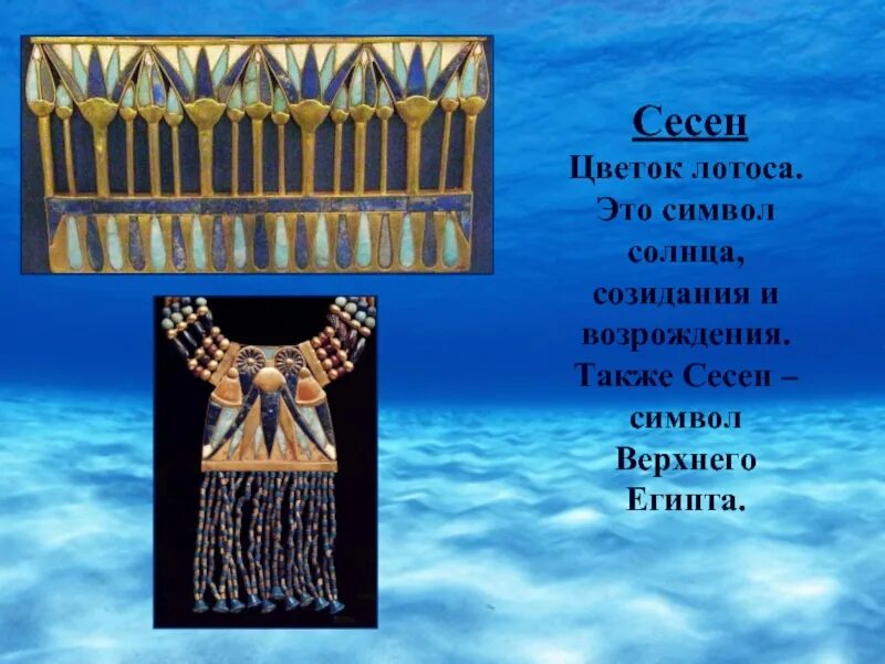 Лотос символ египта. Лотос в древнем египте. Сесен символ древнего египта. Цветок символ египта. Древнеегипетские символы лотос.
