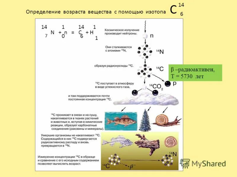 схемы радиоактивного распада углерода 14. бета частицы электроны позитроны. распад углерода. распад углерода. реакция распада углерода 14.