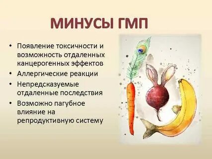 Недостатки генно модифицированных продуктов