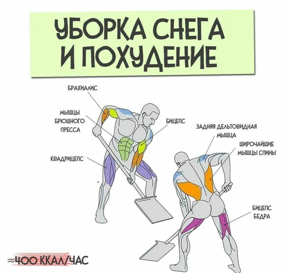 Какие мышцы работают при чистке снега. Группы мышц при уборке снега. уборка снега какие мышцы работают. мышцы задействованные при чистке снега. сколько калорий сжигает чистка снега лопатой.