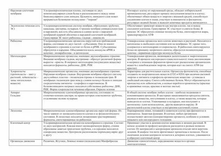 Органоиды животной клетки таблица 8 класс биология