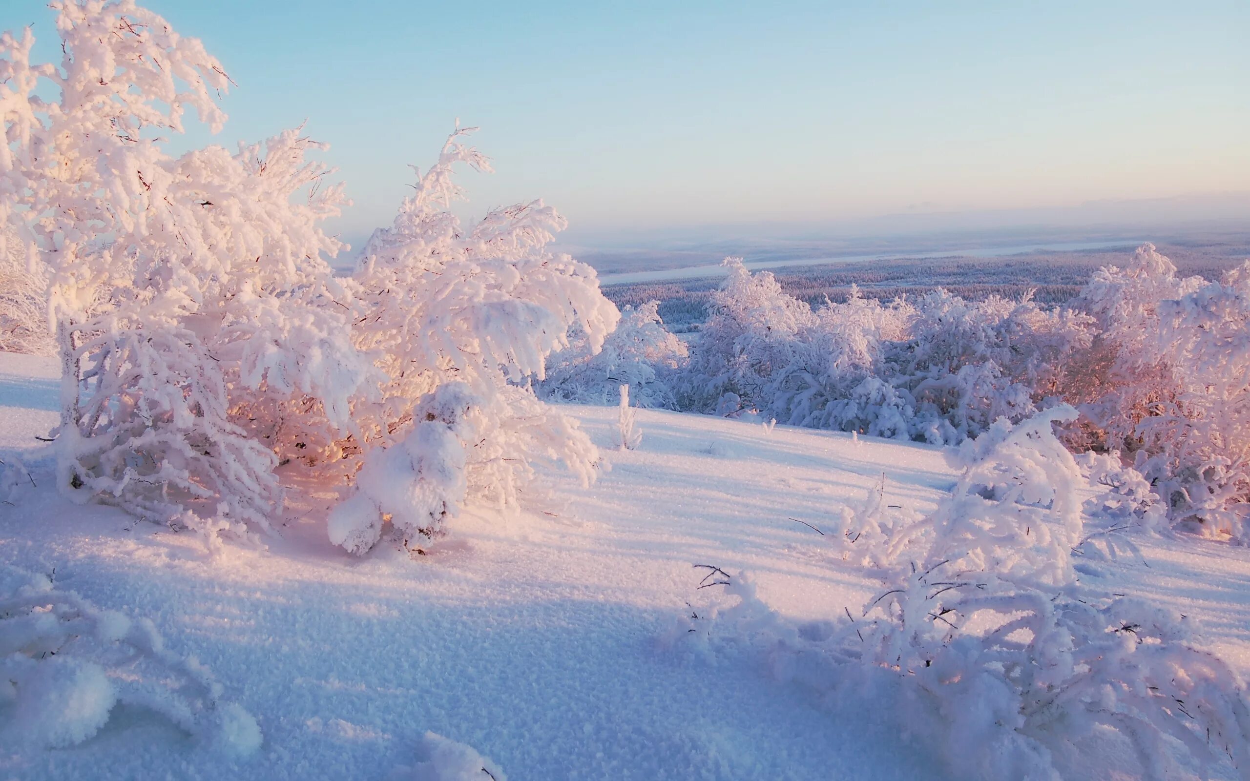 Где снег и мороз. Евгений Евтушенко третий снег. Евгений Евтушенко идут белые снеги. Зимний Солнечный пейзаж. Красивая зима.