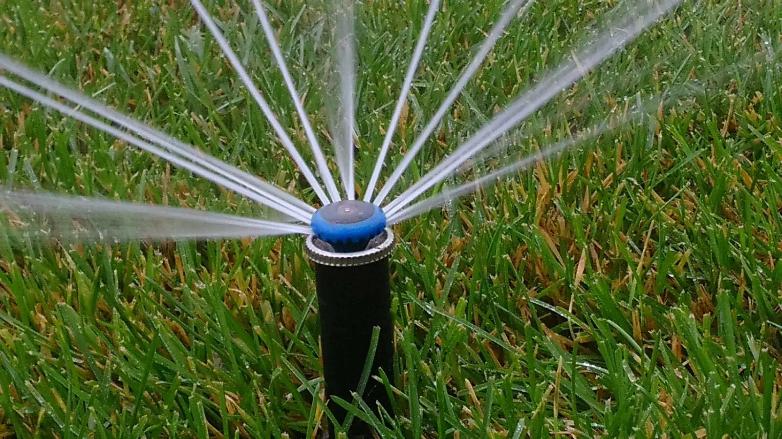 Автополив уфа. Роторные дождеватели хантер. автополив газона хантер. система автополива hunter. система автополива газона hunter.