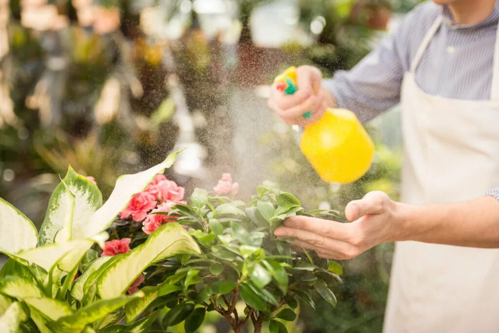 Flower spray. Floral Spray.