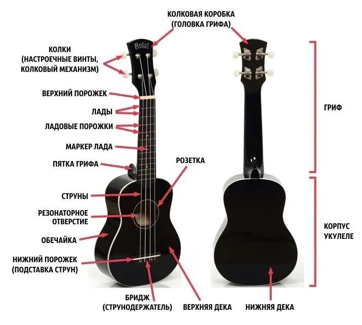 Полный разбор гитары. Строение укулеле сопрано. Как называются части укулеле. Как устроена укулеле. Название всех частей укулеле.