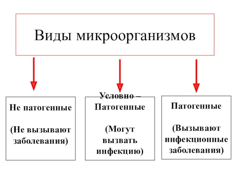 Патогенные болезни какие. Виды патогенных микроорганизмов. Виды микроорганизмов патогенные условно патогенные. Заболевания вызванные условно патогенными микроорганизмами. Не патогенные патогенные и условно патогенные микроорганизмы.