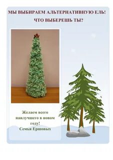 Защитим ели