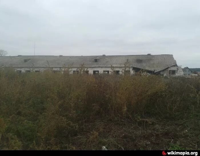 Автобус любань совхоз