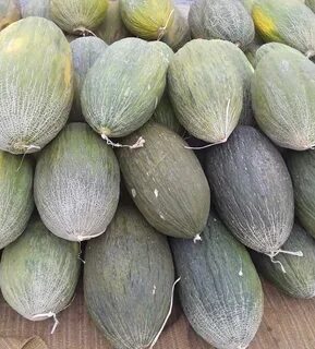 Лучшая дыня для подмосковья