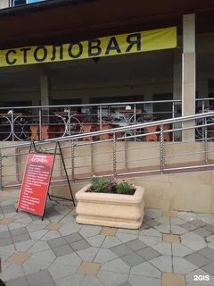 Золотой огонек адлер