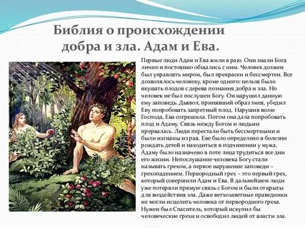 Сколько живут евы