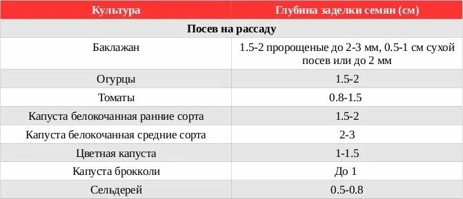 Глубина посева семян томатов. Глубина заделки семян овощей таблица. Глубина заделки семян капусты на рассаду. Глубина заделки семян овощных культур таблица. Глубина заделки семян.