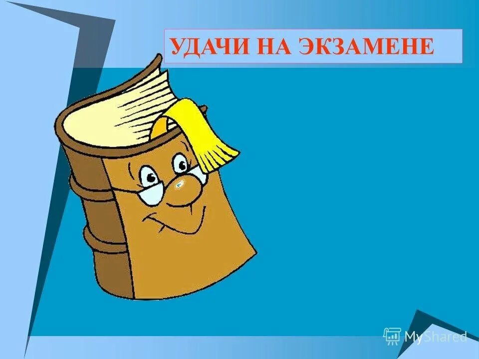 Удачной сдачи огэ