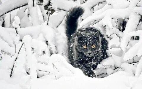 Доброе утро. Всем прекрасного рабочего дня - Лента новостей ЛНР