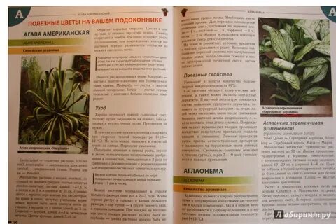Справочник растений