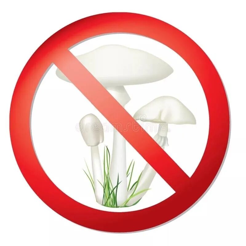 Знак нельзя собирать грибы. Знак ядовитые грибы. Знак перечеркнутый гриб. Запрещающий знак ядовитых грибов. Знак опасно ядовитые грибы.