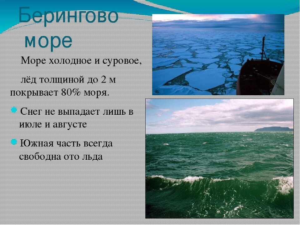 Тихий океан перечислить моря. Моря в тихом океане Берингово море. Описать Берингово море. Берингов пролив соленость воды. Берингово море, Охотское море и японское море.