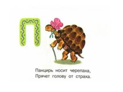Какой овощ постоянно носит черепаха