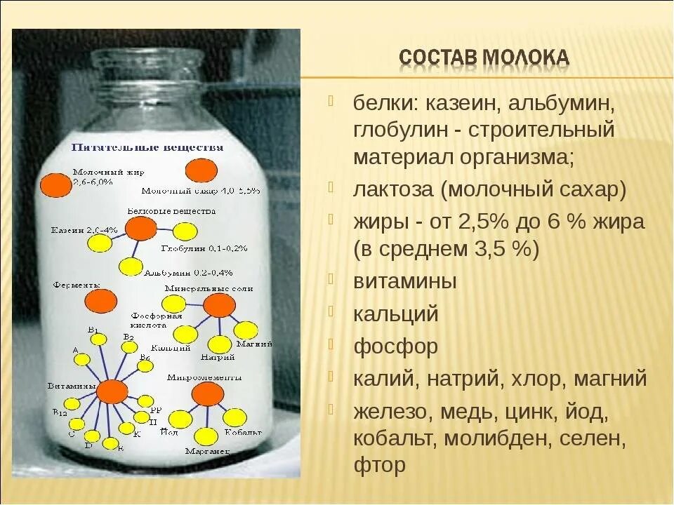 Какие вещества содержатся в молоке формула. Состав белков молока. Количество белка в коровьем молоке. Какие белки в молоке. Характеристика белков молока.