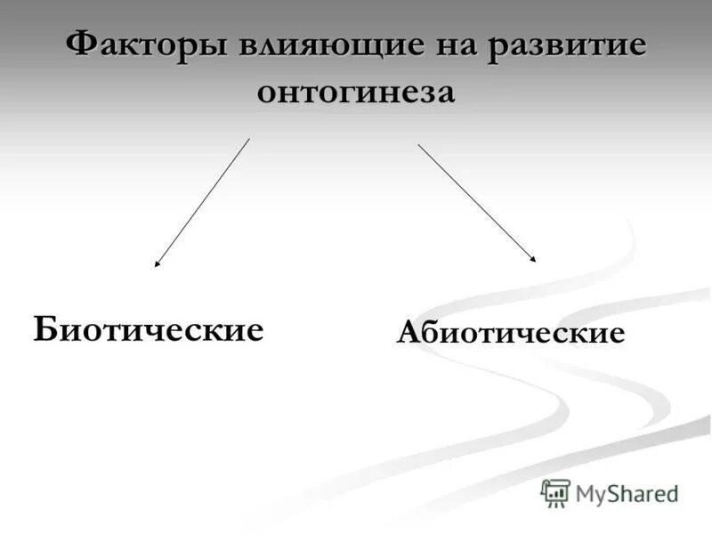 Факторы влияющие на русский язык. Факторы влияющие на русский язык