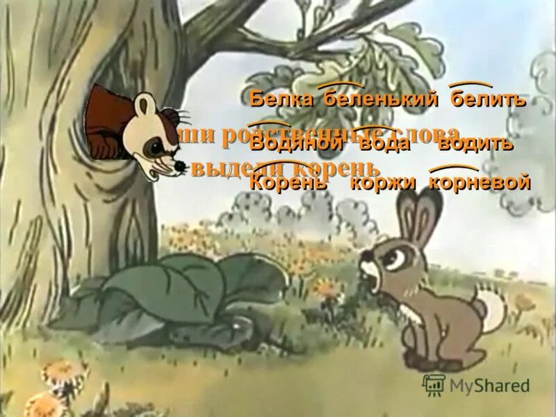 корень в слове белка 2 класс. однокоренные слова к слову белка. белочка корень слова. белка однокороенное с ь. белка белок корень.