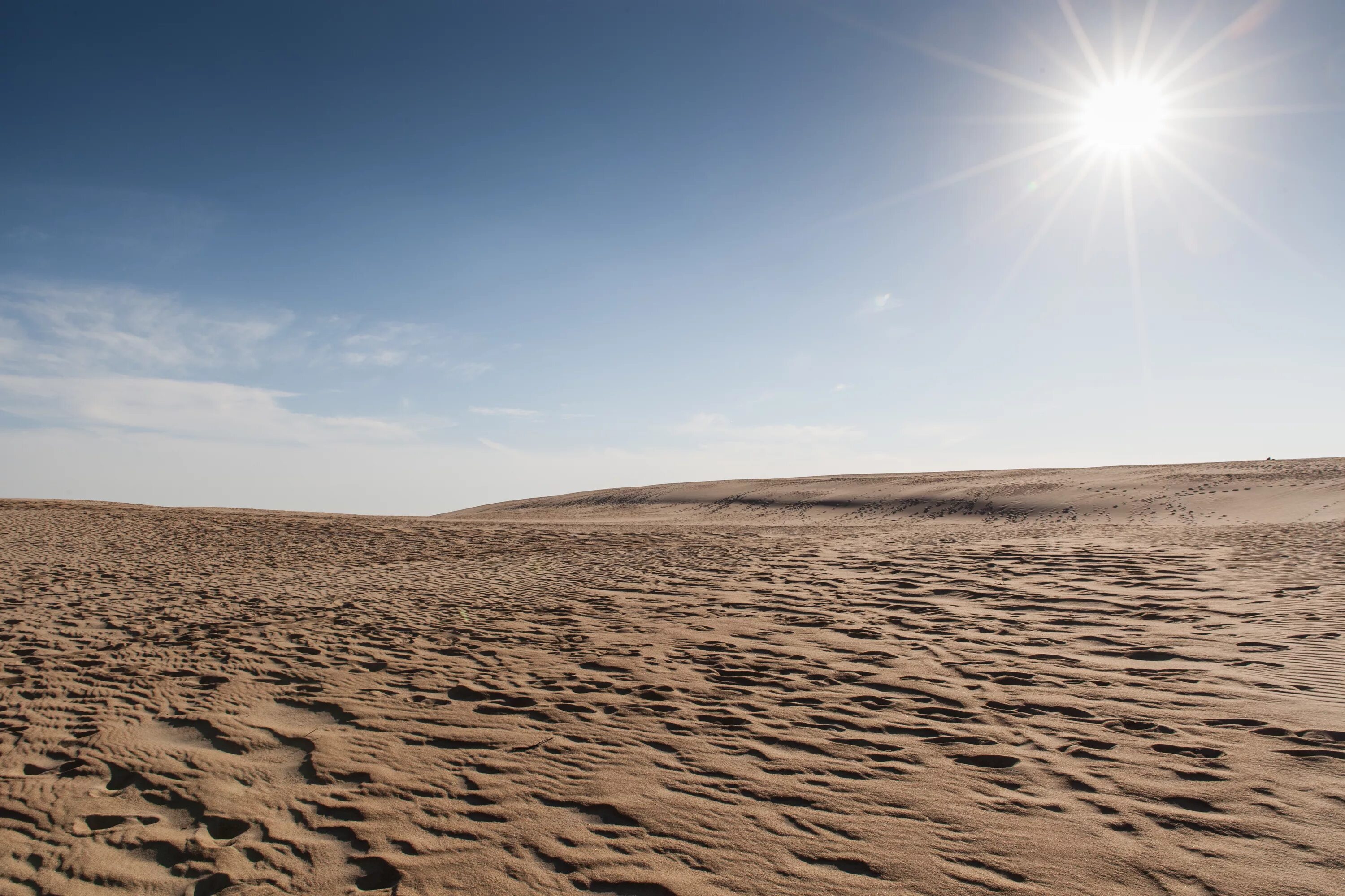 Шампунь с триклозаном. Пустыня красное море. Пустыня эстетика. Wadi rum desert. O m desert dry.