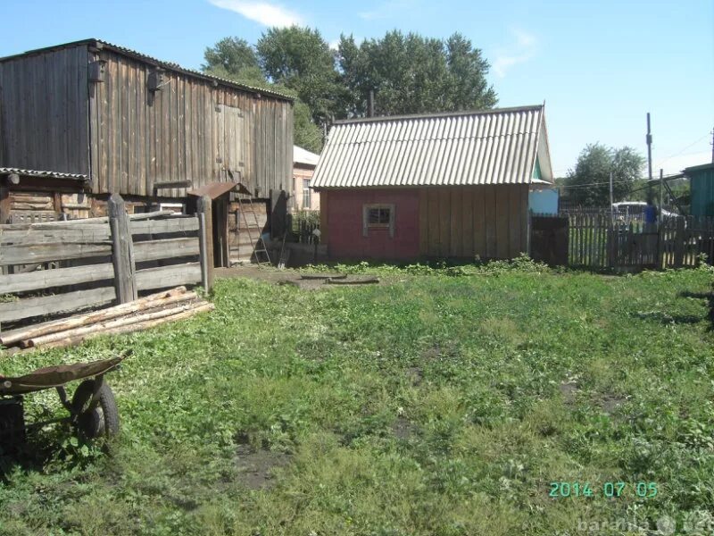 Погода сидоровки алтайский край
