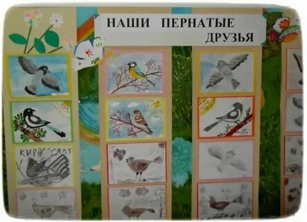 Тематическая неделя птицы наши друзья