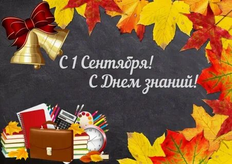 Цитаты к дню знаний