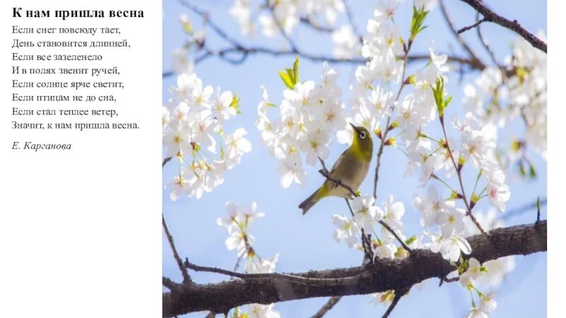 А весной снег повсюду тает текст песни