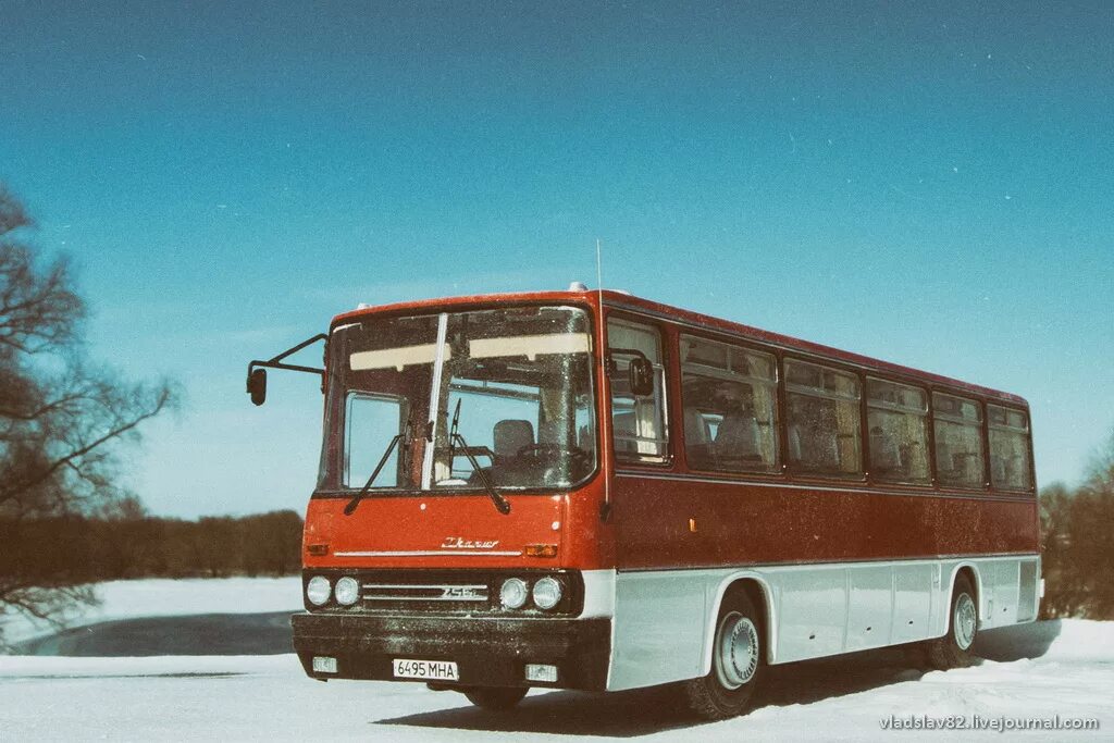 Икарус 256.54. Икарус 256.54 CLASSICBUS. Ikarus 256.54 CLASSICBUS. Ikarus 256 CLASSICBUS. Икарус это