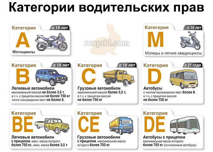 Работа с правами категории с. Категории прав м1 расшифровка. Категории водительских прав с расшифровкой b,b1,m. Категории водительских прав 2021 таблица с расшифровкой. Категории водительских прав в1 механика.