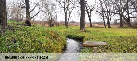 Родники улица речная. Река Брынь Сухиничского района. Сухиничи Баевка фото. Ключ Сухиничи. Сухиничи Баевка ключ.