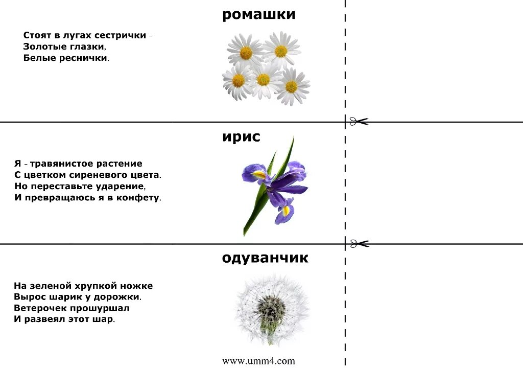 Загадки о цветах для детей 4-5 лет с ответами. Загадки про цветы для детей 6-7. Загадки для детей 7 -8 с ответами про растения. Загадки про цветы для детей.