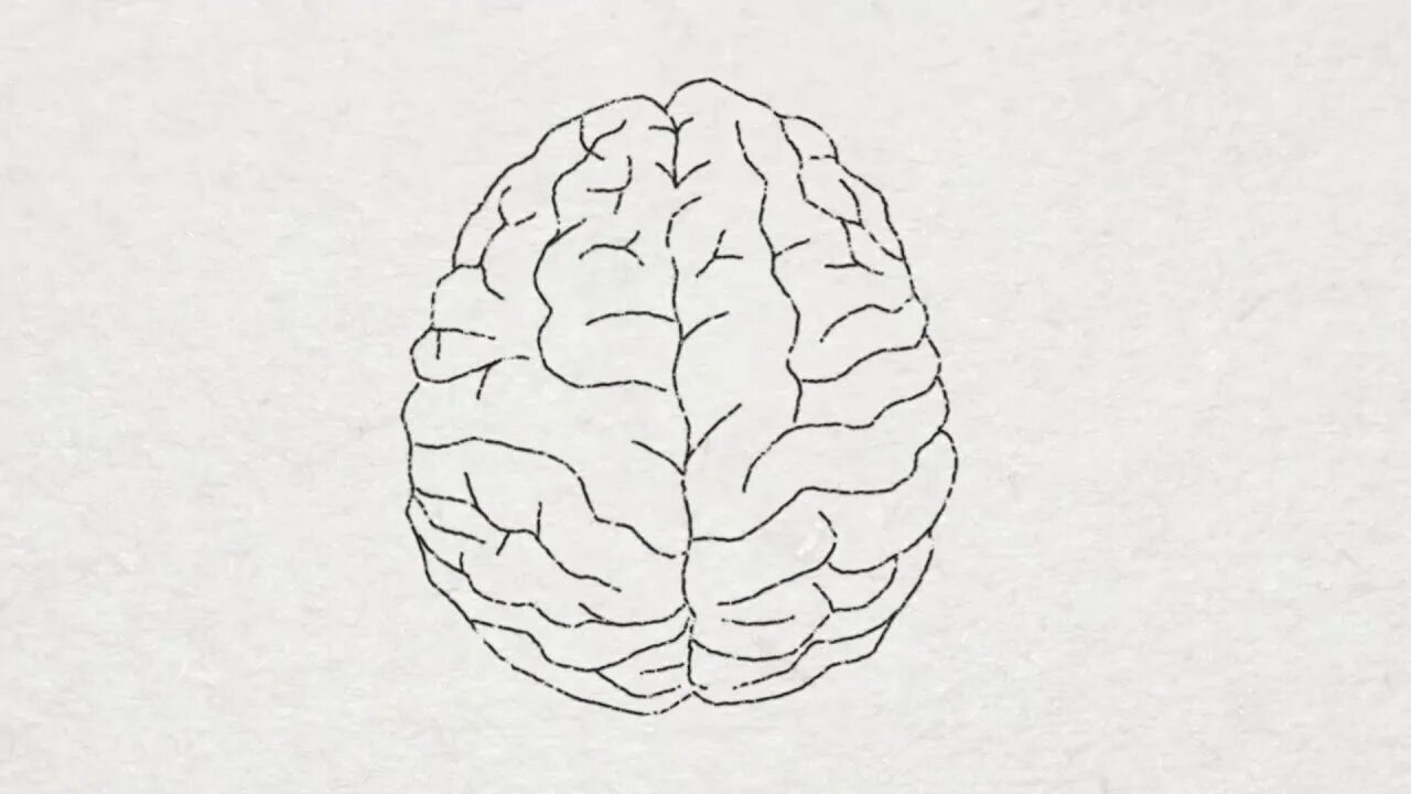 Brain test 89. Два полушария мозга. Рисунок тестирования мозга. Тест на мозг. Тест на полушария мозга.