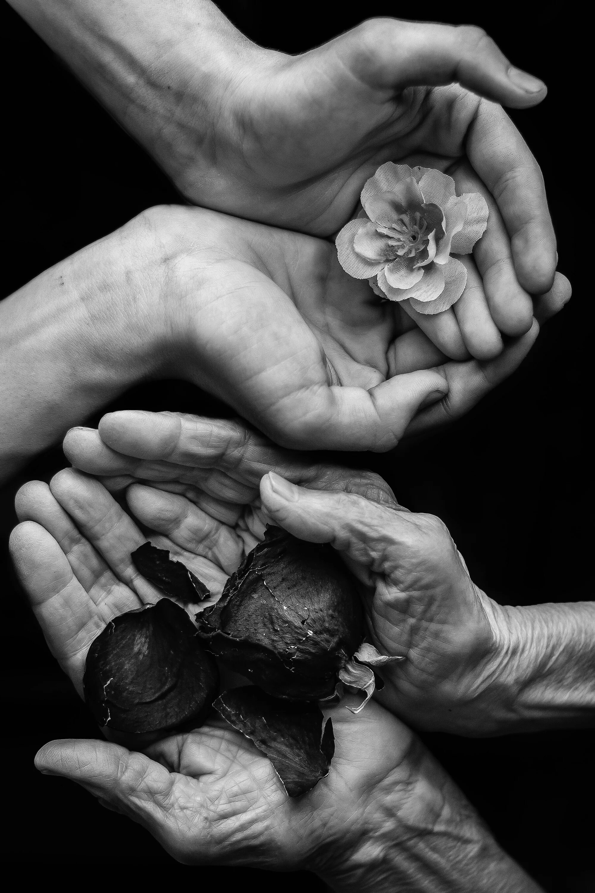Жить черным телом. Benoit courti фотографии. Жить черным телом. Боль души. Черная жизнь.