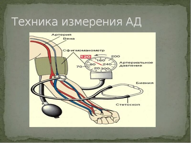 Продемонстрируйте технику измерения ад.. Техника измерения давления. Артериальное давление техника измерения ад. Техника измерения артериального дав.