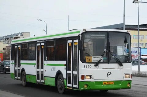 Тюменская область автобусы