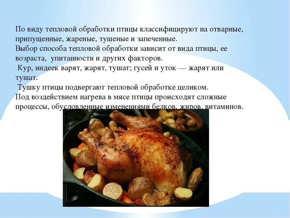 Виды домашней птицы. Презентация на тему блюда из птицы и дичи. Технология приготовления блюд из курицы. Технология приготовления блюд из домашней птицы. Технология приготовления блюд из домашней птицы.
