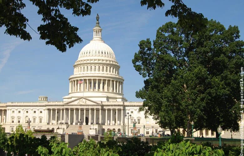 Legislative power in the usa. Legislative power in the usa. The legislative branch. Legislative power. Legislative branch of the usa.