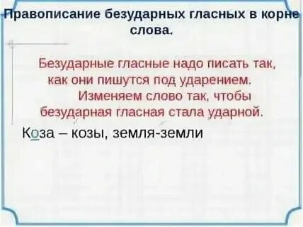 Как пишется слово правило или правила