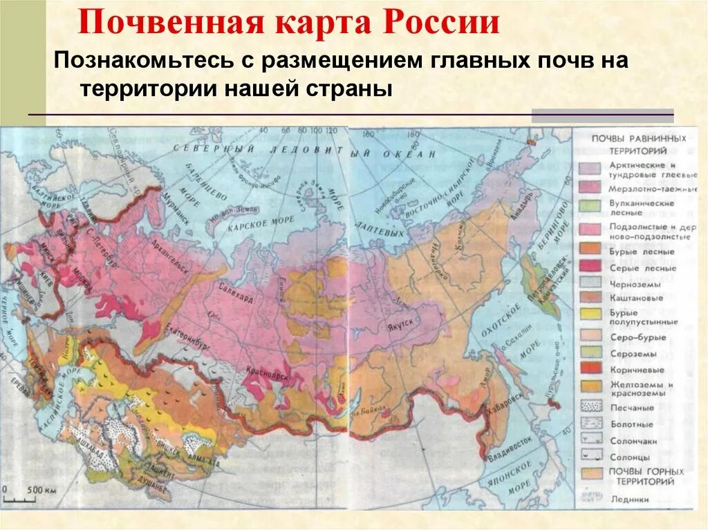 Контурная карта почв россии. Почвенная карта России подзолистые почвы. Типы почв на территории России карта. Горные почвы России на карте. Почвы равнинных территорий России карта.