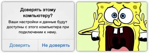 Возникнуть доверять