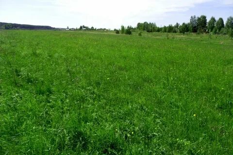 Круглый земельный участок