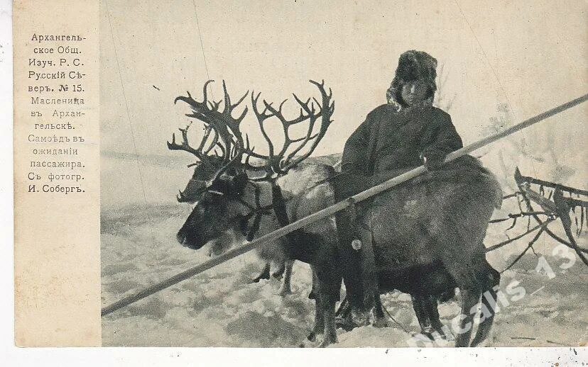 Бойкий неугомонный человек на русском севере. Бойкий неугомонный человек на русском севере. Бойкий неугомонный человек на русском севере. Бойкий неугомонный человек на русском севере. Жители арктики.